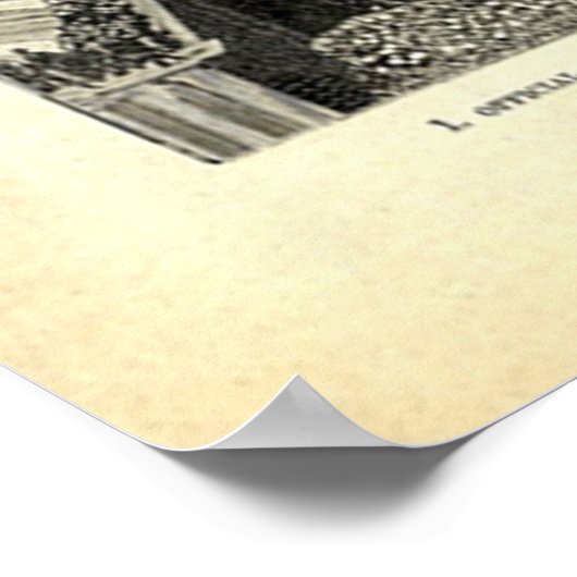 Freiheitsstatue Poster (Ecke)