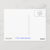 Freiheitsstatue Postkarte (Rückseite)