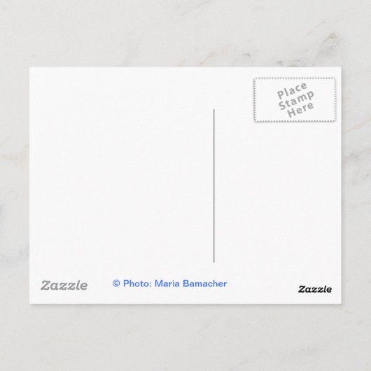 Freiheitsstatue Postkarte (Rückseite)