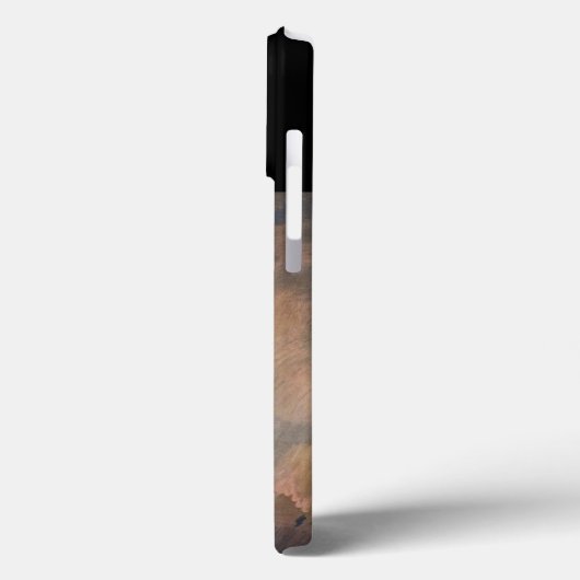 Freiheitsstatue & Präsident Woodrow Wilson Case-Mate iPhone Hülle (Rückseite / Links)