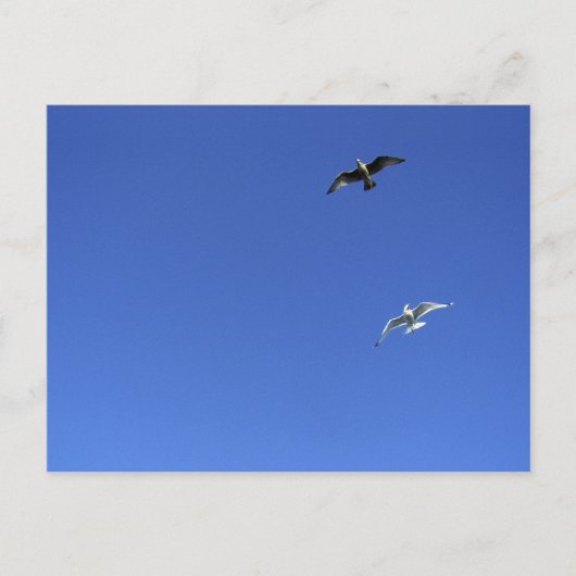 Freiheitstanz Postkarte (Vorderseite)