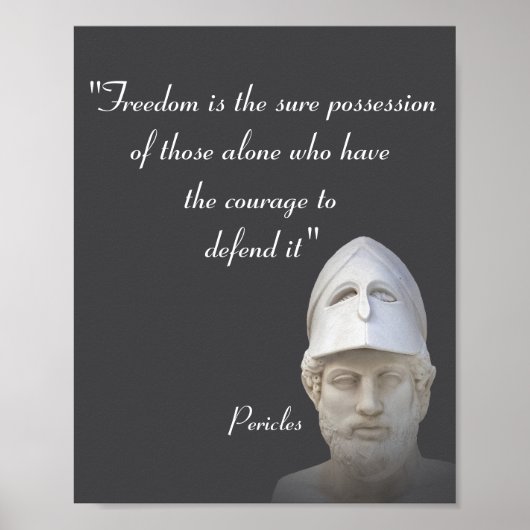 Freiheitszeitenartikel Poster (Vorne)