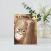 Freitag Postkarte (Stehend Vorderseite)