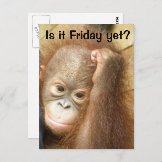 Freitag Postkarte (Vorne/Hinten)