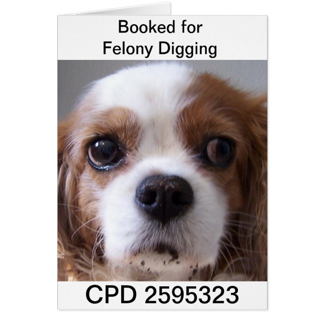 Freitags Tasse Shot (Vorne)