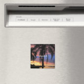 Freiwasser, Foto Florida Magnet (In Situ (Geschirrspüler))