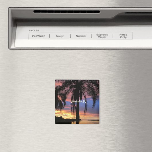 Freiwasser, Foto Florida Magnet (In Situ (Geschirrspüler))