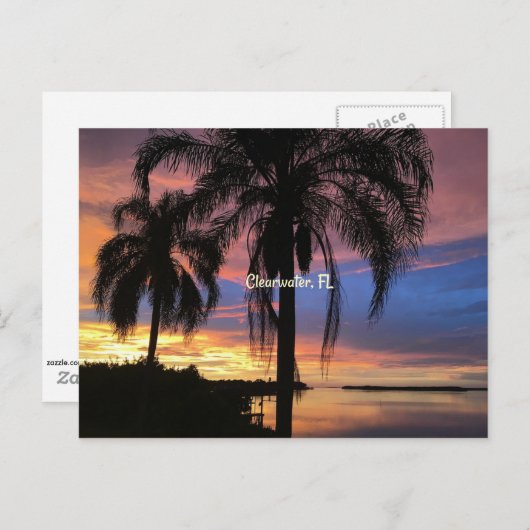 Freiwasser, Foto Florida Postkarte (Vorne/Hinten)