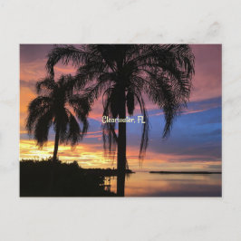 Freiwasser, Foto Florida Postkarte