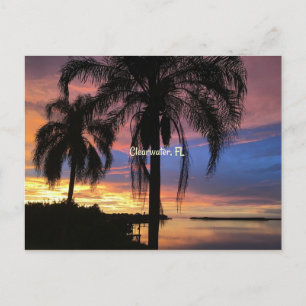 Freiwasser, Foto Florida Postkarte