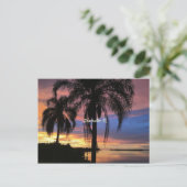 Freiwasser, Foto Florida Postkarte (Stehend Vorderseite)