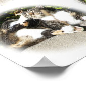 Freizeit einer Katzen-Collage Poster (Ecke)