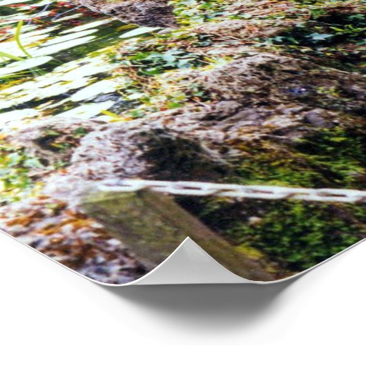 Freizeitteich Poster (Ecke)