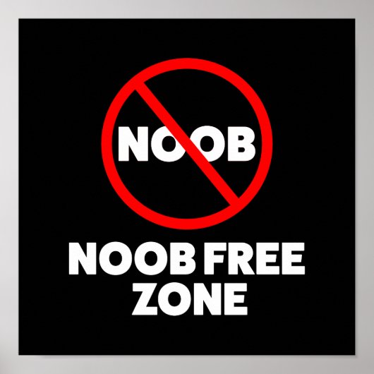 Freizone Noob Poster (Vorne)