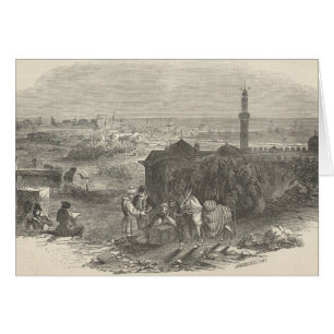 Fremde Mais-Häfen, Alexandria