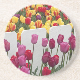 Fremont-Solstice-Parade Getränkeuntersetzer