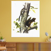 Fremont's Eichhörnchen, Sooty Eichhörnchen, von Au Leinwanddruck (Insitu (Wohnzimmer))