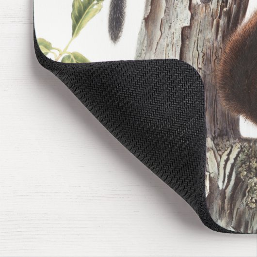 Fremont's Eichhörnchen und Sooty Eichhörnchen Illu Mousepad (Ecke)