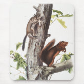 Fremont's Eichhörnchen und Sooty Eichhörnchen Illu Mousepad (Vorne)