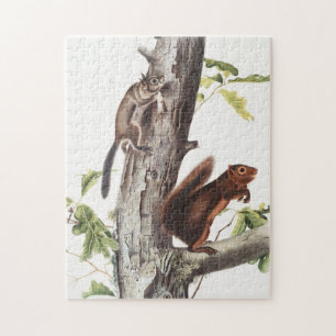 Fremont's Eichhörnchen und Sooty Eichhörnchen Illu Puzzle