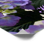 French Baby Blue Hydrangeas Poster (Ecke)