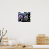 French Baby Blue Hydrangeas Poster (Küche)