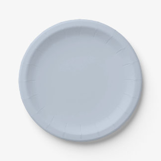 French Blue Paper Plates Pappteller