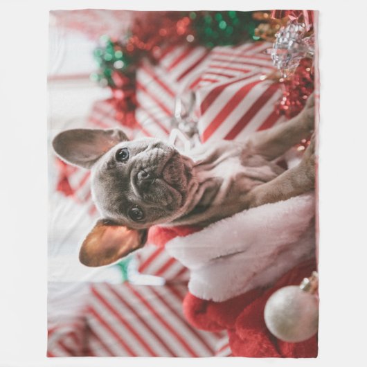 FRENCH BULL DOG FLEECEDECKE (Vorderseite)