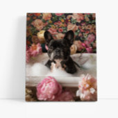 French Bulldog Art | Französische Küche in Badewan Leinwanddruck