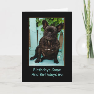 French Bulldog Birthday Card Funny Karte