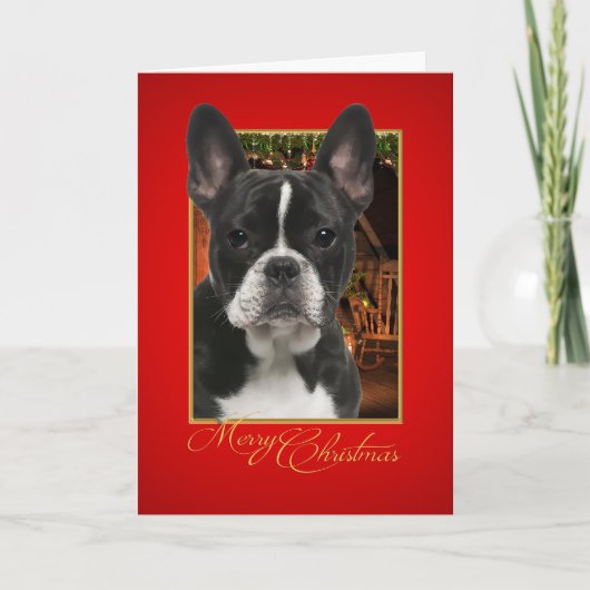 French Bulldog Christmas Card Feiertagskarte (Vorderseite)