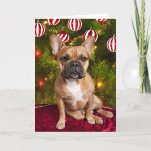 French Bulldog Christmas Card Feiertagskarte