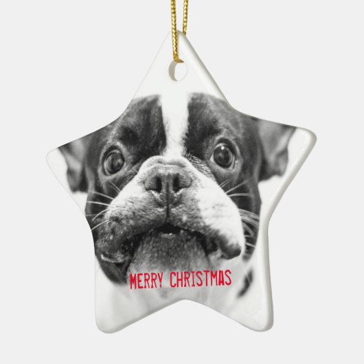 French Bulldog Christmas Ornament Star Custom (Links)