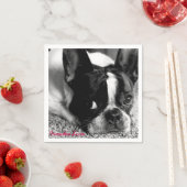 French Bulldog Cocktail Napkins Serviette (Beispiel)