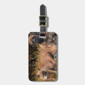 French Bulldog English Mastiff die Schönen Gepäckanhänger (Vorderseite vertikal)