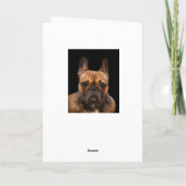 French Bulldog Happy Birthday Spaß Karte (Rückseite)