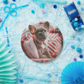 French Bulldog in Christmas Hat Pappteller (Party)