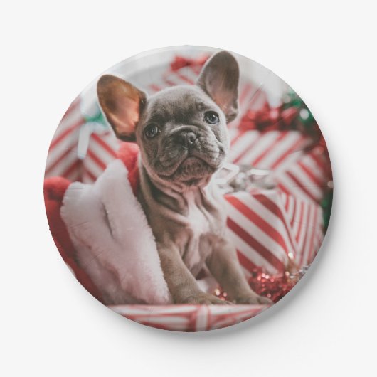 French Bulldog in Christmas Hat Pappteller (Vorderseite)