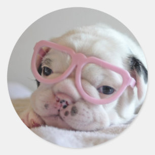 French Bulldog in Heart Glasses Runder Aufkleber