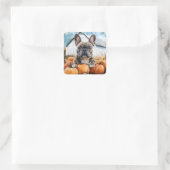 French Bulldog in Pumpkin Patch Quadratischer Aufkleber (Tasche)