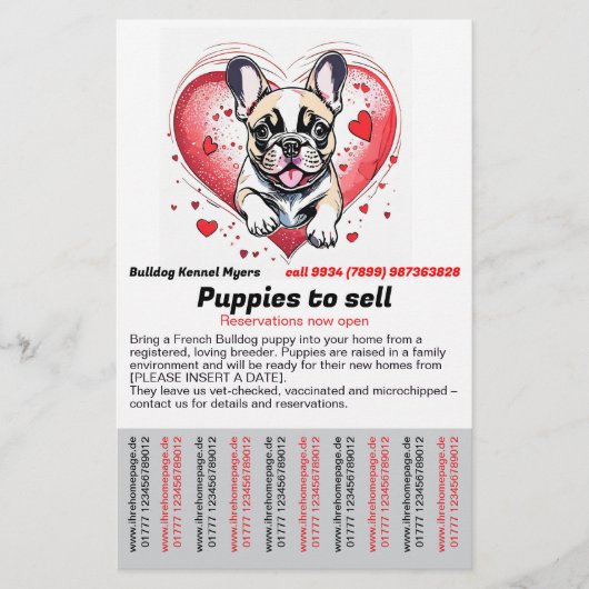 French Bulldog into your home Flyer (Vorne)