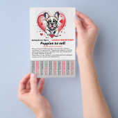 French Bulldog into your home Flyer (Handgriff)