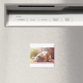 french bulldog laying magnet (In Situ (Geschirrspüler))
