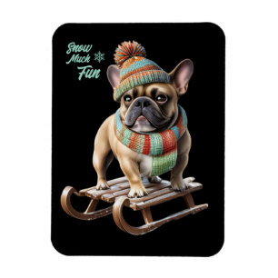 French Bulldog lustige Schlittenfahrt im Urlaub Magnet