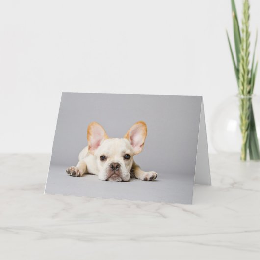 French Bulldog Lying Down Karte (Vorderseite)