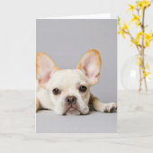 French Bulldog Lying Down Karte (Gelbe Blume)