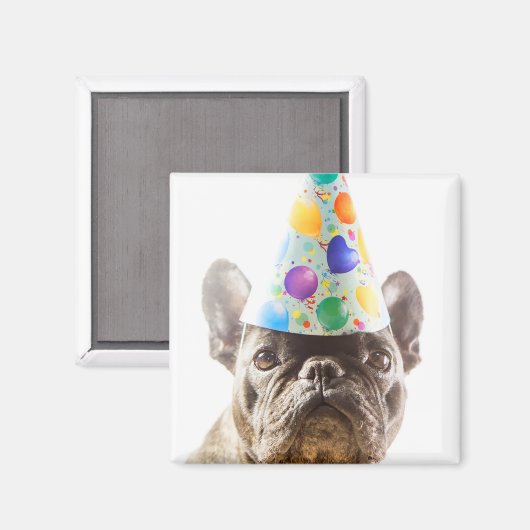 French Bulldog mit Party Hat Magnet (Vorderseite/Rückseite)