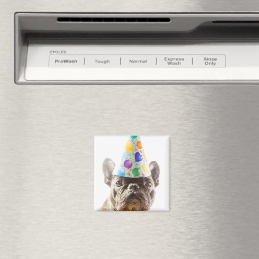 French Bulldog mit Party Hat Magnet (In Situ (Geschirrspüler))