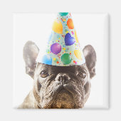 French Bulldog mit Party Hat Magnet (Vorne)