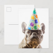 French Bulldog mit Party Hat Postkarte (Vorne/Hinten)